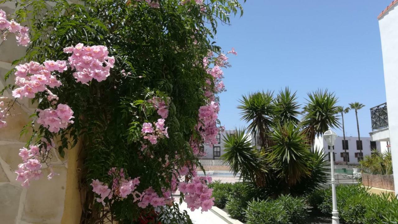 Tenerife Altamar Paradise Playa de las Americas  Exterior foto